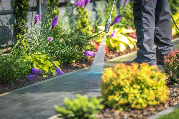 Best Fence Cleaning  in Tipton, MO
